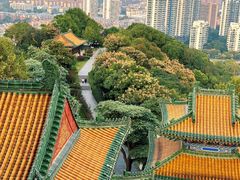 -阅江楼风景区