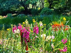 -上海共青森林公园