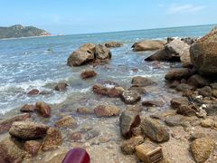 -众味海鲜大排档·活海鲜·潮汕味(南澳店)
