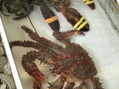 -大湾区中央湿地公园-十九涌