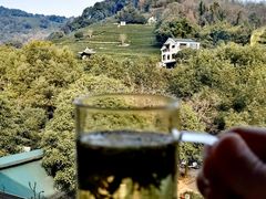 -阿巧茶庄