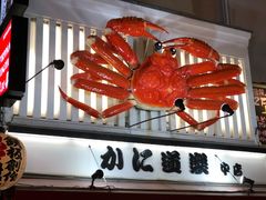 -蟹道乐(道顿堀本店)