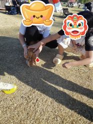 点击看大图 -268童话露营农场·烧烤·团建
