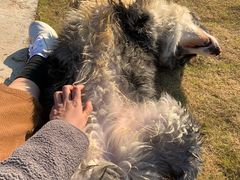 -孔雀湖生态旅游区