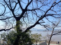 -平湖九龙山旅游度假区