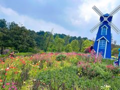 -铁山坪森林公园