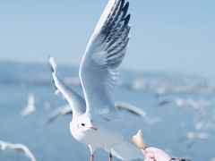 -怡得饭庄·30年老店·宋大妈昆明菜