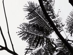 -白沙门生态公园