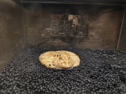 -Zoolung Zoolung动物主题公园(海信广场店)