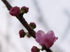 -太阳宫公园