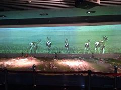 -中国铁道博物馆(正阳门馆)