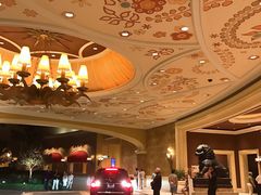 -拉斯维加斯永利酒店