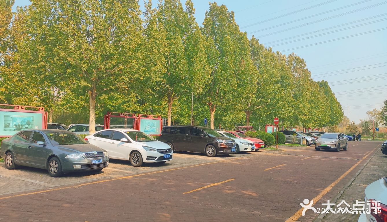 免费公园 近距离接触小动物