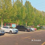 免费公园 近距离接触小动物