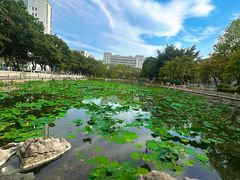 -广西大学(大学东路校区)