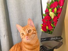 -邢氏老太太烧烤(南山店)