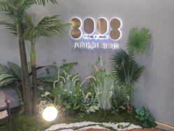 -八佰伴8008星级形象店