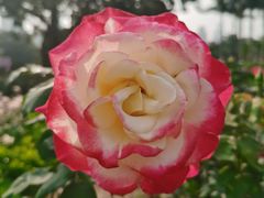 -人民公园(罗湖区)