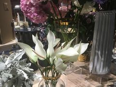 -BEAST野兽派(上海浦东嘉里城店)