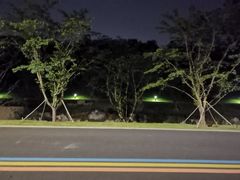 -羊山湖公园
