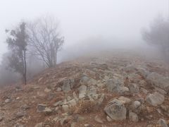 -阳台山自然风景区