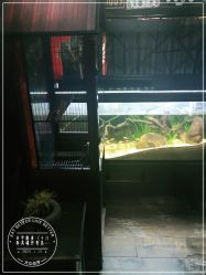 -日月刺青工作室·高端纹身