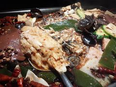 -探鱼·鲜青椒爽麻烤鱼(西南商都店)