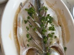 -蟹天蟹地农家菜·阳澄湖大闸蟹(浅水湾店)