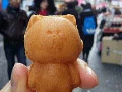 -line friends(明洞旗舰店)