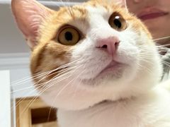 -八公叔叔宠物美容连锁(春申店)