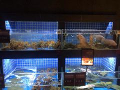 水产区-徐记海鲜(汉城湖|太奥店)