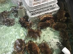 -盒马渔市餐厅
