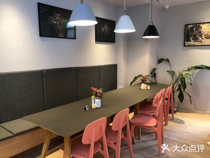 CAT’S MEWSTAR CAFE·喵星球猫屋(晴湾咖啡店)图片