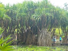 -中国科学院西双版纳热带植物园