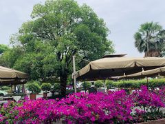 -高坎一品甲鱼庄(两河店)