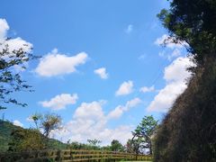 -阳台山森林公园