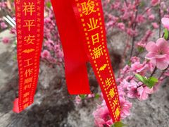 -北山公园
