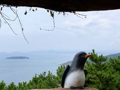 -燕窝岭