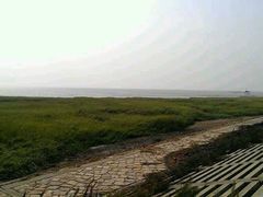 -南汇嘴观海公园