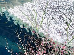 -慧因高丽寺