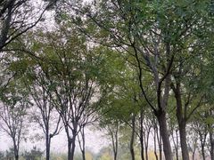 -中央财经大学-食堂
