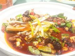 -老雒阳面馆·水席(洛宁高速路口店)