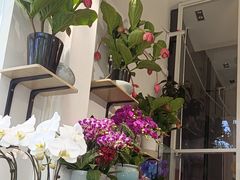 -FEI FEI FLOWER鲜花店·气球派对·宝宝宴布置(虹口德必运动Loft店)
