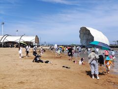-碧海金沙