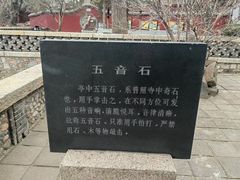 -泰山风景名胜区-普照寺