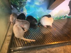 -成都浩海立方海洋公园