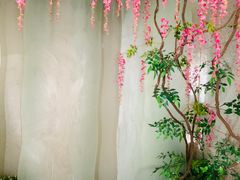 -云中小雅