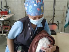 -瑞鹏瑞爱宠物医院·全科·猫科·血液透析中心(龙头寺店)