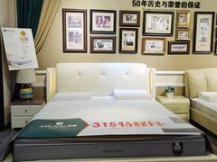 -红星美凯龙(东北全球家居1号店)
