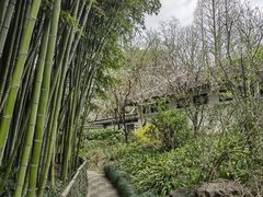 -汇龙潭
